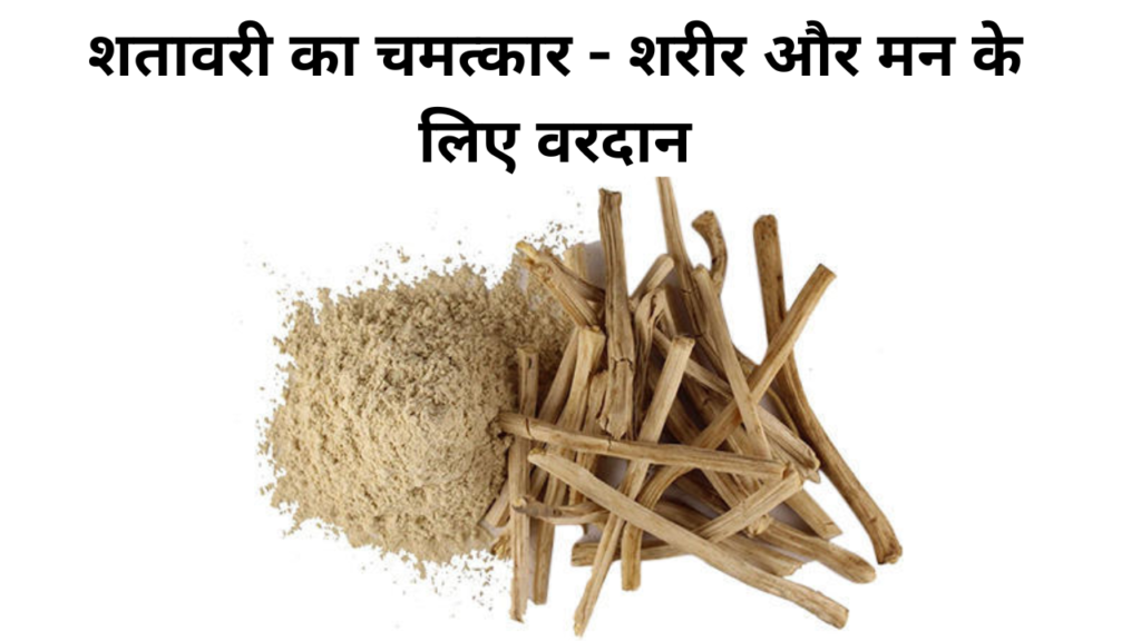 wellhealth ayurvedic health tips :शतावरी का चमत्कार - शरीर और मन के लिए वरदान